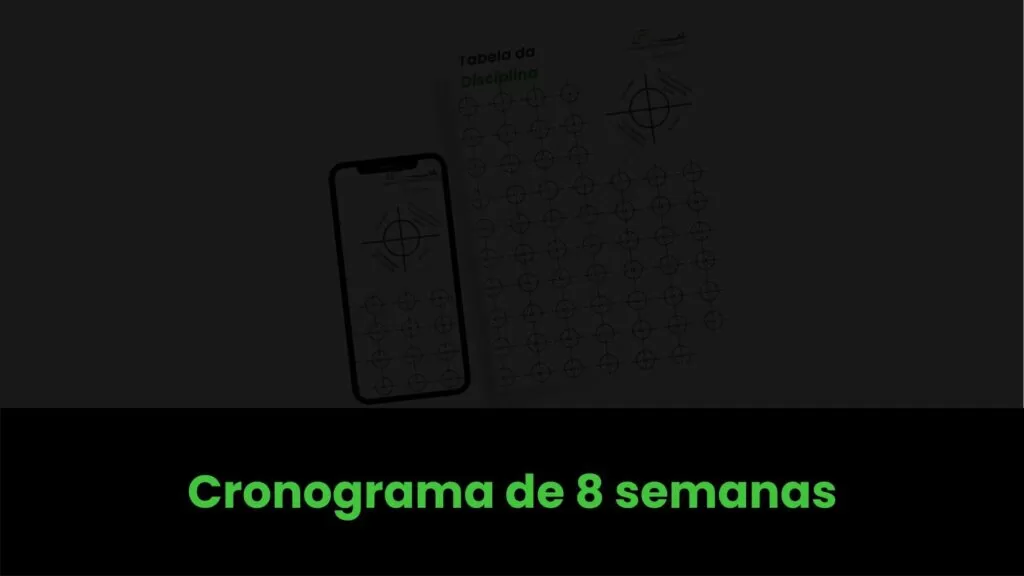 Cronograma de 8 semanas